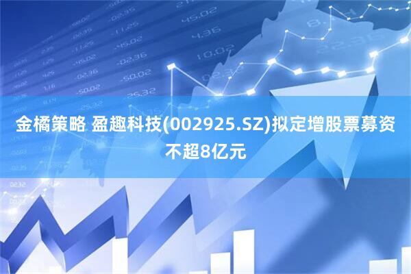 金橘策略 盈趣科技(002925.SZ)拟定增股票募资不超8亿元